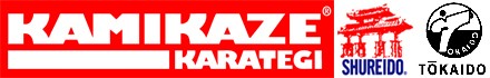 Logo kamikaze